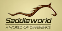 Saddleworld